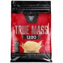 Гейнер BSN True-Mass 1200 4650 g / 15 servings / Vanilla Ice Cream