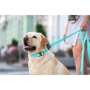 Поводок WAUDOG Waterproof, светящийся 15 мм 122 см ментоловый (2730): Длина 1.22 м