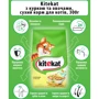 Сухий корм для котів Kitekat курочка з овочами 300 г (5900951248856): Клас Економ