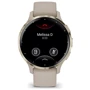 Смарт-часы Garmin Venu 3S Soft Gold Stainless Steel Bezel with French Grey Case and Silicone Band (010-02785-02): Дисплей 1.2" AMOLED (390x390)