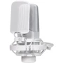 Набор для звукозаписи Arturia MiniFuse Recording Pack (White): Аналоговые выходы 2 x комбинированные входы Mic/Inst/Line XLR с фантомным питанием 48 В; 1 x 5-контактный MIDI-вход; 1 x концентратор USB2 типа A (макс. 250 мА); Интерфейс USB-C, совместимый с ПК и Mac, полностью совме