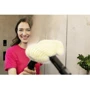 Пароочищувач Karcher SC 4 Deluxe Iron (1.513-462.0): Тип Ручной