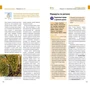 Туніс. Путівник з міні-разговорником (+ карта) фото 8