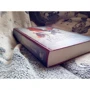 Майлз Кемерон: Червоний лицар: Виробник Фантастика Книжковий Клуб