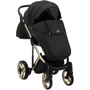 Коляска 2 в 1 Adamex Chantal Star Polar (Gold) Star 13 (624646): Стать дитини дівчинка, хлопчик