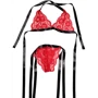 Эротический комплект NDS 27859 Red/Black One Size (20291)