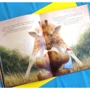 Ирина Зартайская: Море в подарок: ISBN 978-5-4335-0732-6
