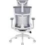 Офісне крісло OfficePro Balance OC620-W-DG-DG: Максимальне навантаження, кг 120