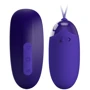 Комплект из виброяйца и вакуумного стимулятора LYBAILE Pretty Love Orthus Youth (BI-014901WL)