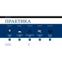 Вікі, Тома, Гонса: Корпоративний стартап. Як створити інноваційну екосистему в крупній компанії: Обкладинка М'яка