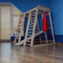 Спортивний комплекс вуличний дитячий SportBaby Акварелька- outdoor: Призначення для дома