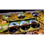 Настольная игра Czech Games Edition Dungeon Petz - EN НА АНГЛИЙСКОМ ЯЗЫКЕ фото 7