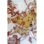Казки. книга 4