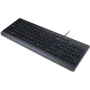 Клавиатура Lenovo Essential Wired Keyboard Black (4Y41C75141): Интерфейс подключения USB