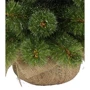 Сосна искусственная Triumph Tree Edelman Forest frosted зеленая с инеем, 0.6м: Вид Сосна