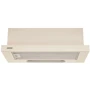 Вытяжка Eleyus BREEZE 470 50 BG: Тип монтажа Встраиваемый