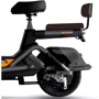 Электроскутер Forte GS500 черный (+ аккумулятор 12V 20/25A 5шт) (135246): Допустимая нагрузка, кг 120