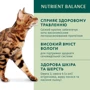 Влажный корм Optimeal Adult Cats Rabbit in Carrot jelly для кошек с кроликом в морковном желе 12х85 г (4820215365840): Класс Супер премиум