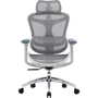 Офисное кресло Sihoo DORO C300L Mesh White (DORO-C300L-A3-102)