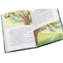 Анна Ходко: Казки нічного саду: ISBN 978-966-279-158-7