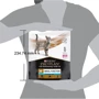 Сухой корм для котов Pro Plan Veterinary Diets NF Advanced Патологии почек 350 г (7613287886217): Основные ингредиенты Рис, Кукуруза, Субпродукты
