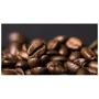 Кава Lavazza Tierra Expert BIO (зерно), 1 кг (WT3925): Вид напою кава в зернах