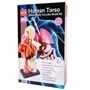 Анатомическая модель человека Edu-Toys сборная, 27 см (MK027): Производитель EDU-Toys