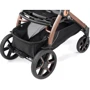 Прогулянковий візок Peg-Perego Book Mon Amour rose gold (IP23000000BA36PL00): Кількість блоків 1