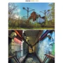 Interesting Chernobyl: Количество страниц 208