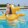 Плотик Bestway 91074: Тип плотик