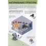 Minecraft. Загублені. Перше знайомство: Обкладинка Тверда