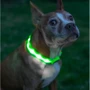Ошейник с подсветкой UFT PET LED 2 Green для собак с аккумулятором S (UFTPL2Sgreen): Цвет зеленый