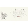 Блокнот. Все или ничего. Темный: ISBN 978-5-699-91997-0