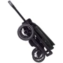 Прогулочная коляска Carrello Alfa Midnight Black (CRL-5508 Midnight Black): Пол ребенка Унисекс