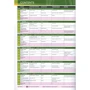Speak Out 2nd Pre-Intermediate SB+DVD (учебник для учащихся и студентов с вложенным DVD 4901990000): Производитель Pearson Education Limited