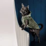 Жилет Pet Fashion LOUIS M (4823082427505): Размер животного Средние