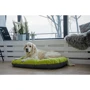 Лежак-подушка Lucky Pet №2 Морфей для собак салатовый 50х70 см (215334): Страна производитель Украина