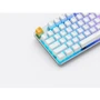 Клавиатура Glorious GMMK Gateron Brown USB White (GLO-GMMK-FS-BRN-W): Количество клавиш 104