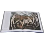 Национальная галерея искусств. Вашингтон: ISBN 978-5-7793-3082-4