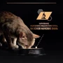 Влажный корм ProPlan Sterilised Senior 7+ для кастрированных котов с индейкой 26х75 г (8445290184061) фото 8