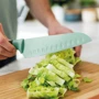Нож сантоку BergHoff Leo 17 см (3950109): Японский нож Santoku 17 см