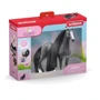 Набір іграшкових фігурок Schleich Кобила-красуня з аксесуарами (42620): Стать Унисекс