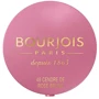 Bourjois Little Round Pot Blusher №48 Cendre De Rose Brune Рум'яна для обличчя 2.5 g: Вид Рум'яна