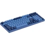 Клавиатура AKKO 3098B Ocean Star 98Key, CS Jelly White, BT/WL/USB-A, EN/UKR Black (6925758615204): Тип клавиш механический