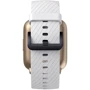 Смарт-годинник Zeblaze Swim GPS Gold: Види спорту Плавание, Велоспорт, Бег