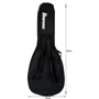 Чехол для электрогитары Ibanez IGB101: Производитель Ibanez