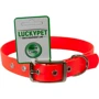 Нашийник водонепроникний Lucky Pet 2.5x25-35 см оранжевий (4820224217178)