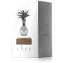 Левітуючий вазон Flyte Planter чорний (01-LBLA-MUL-V1-0) фото 4