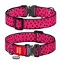Ошейник для собак WAUDOG Nylon с QR паспортом Арбуз, XXL (4535-0049)