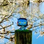 Игровая фигурка Funko POP! серии Аватар – Нейтири (65642): Пол Унисекс